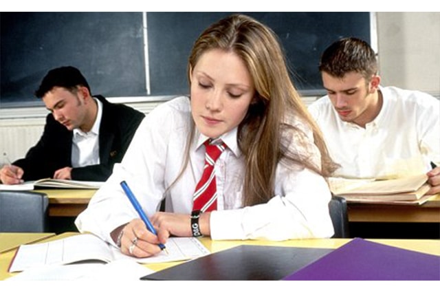 reiki-happy-school.online-Career guidance